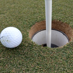 Sand Valley 2017